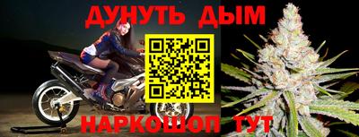 бошки Кингисепп