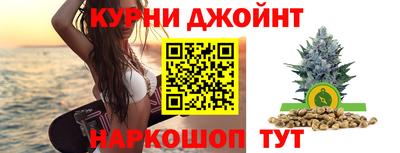 бошки Кингисепп