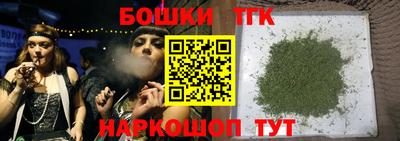 бошки Кингисепп