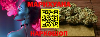 бошки Кингисепп