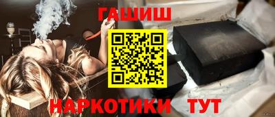 бошки Кингисепп