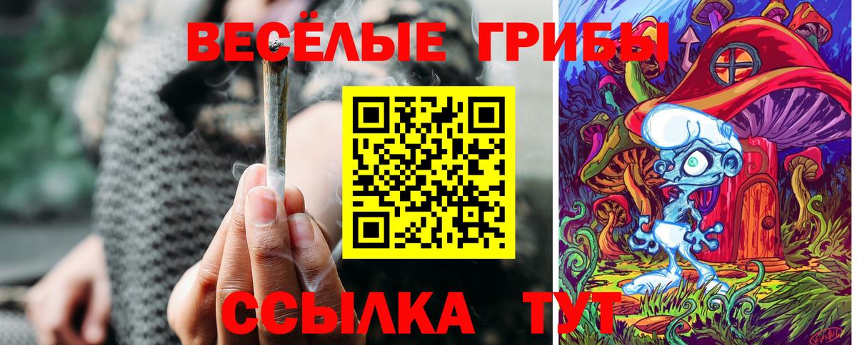 Псилоцибиновые грибы прущие грибы  Вход с VPN  Коряжма 